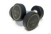 The 6kg Dumbbell