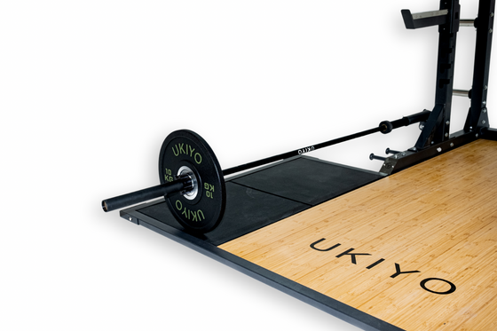 The 20kg Barbell