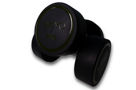 The 20kg Dumbbell